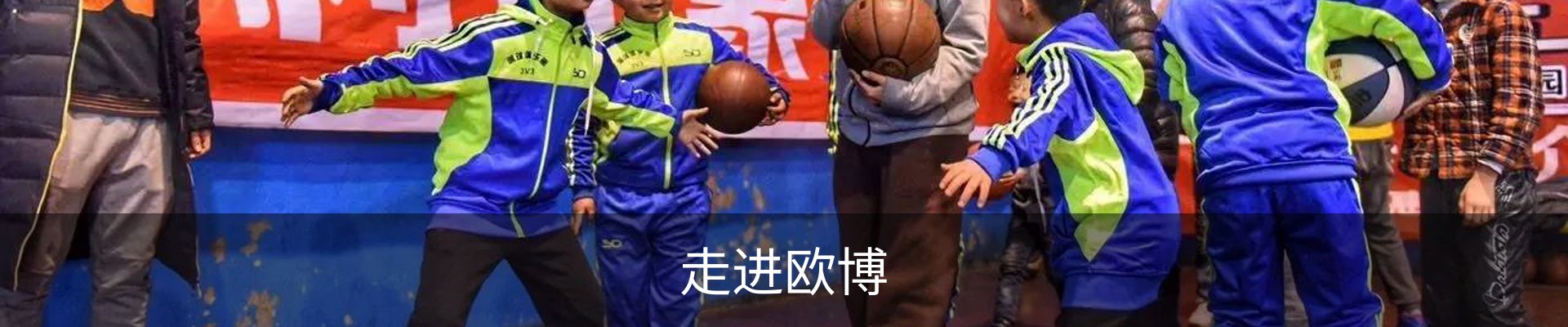 走进欧博
